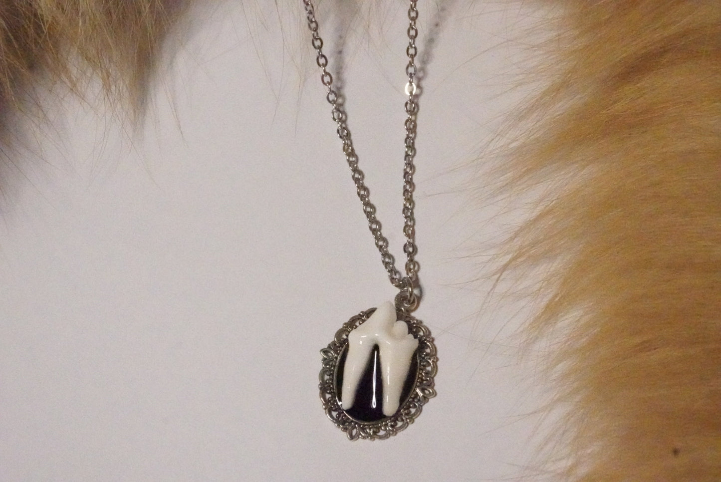 Not ugly, just coyote