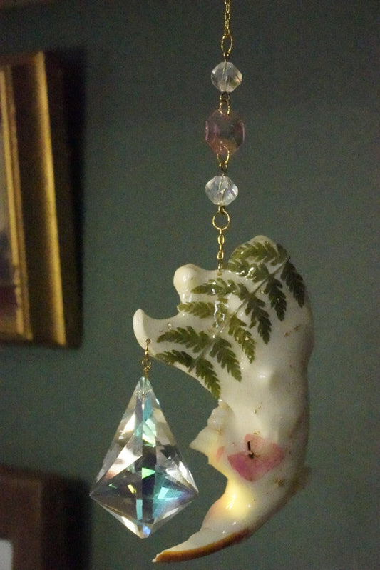 Beaver jaw sun catcher