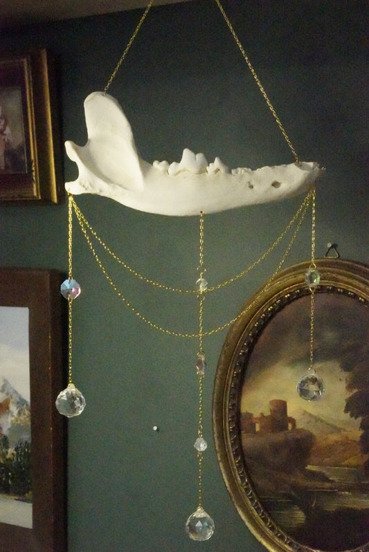 Wolf jaw sun catcher