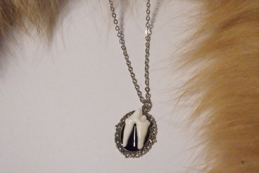 Not ugly, just coyote