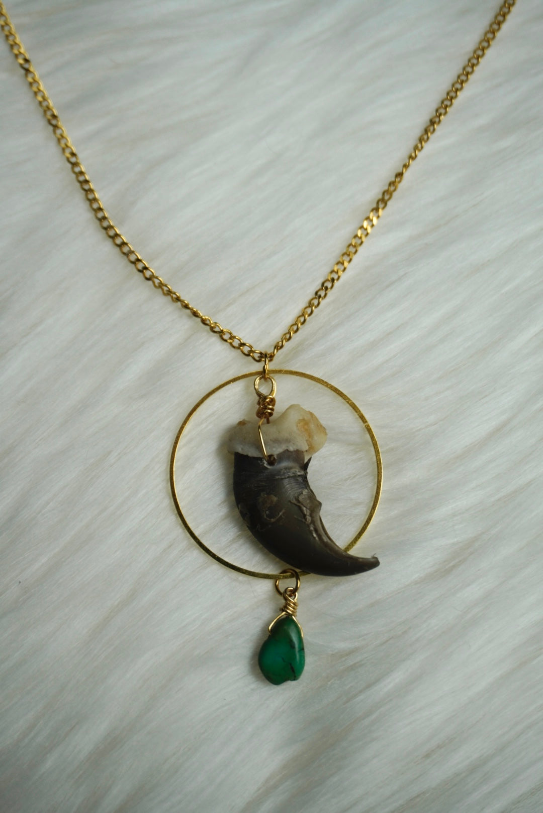 Black Bear Protector