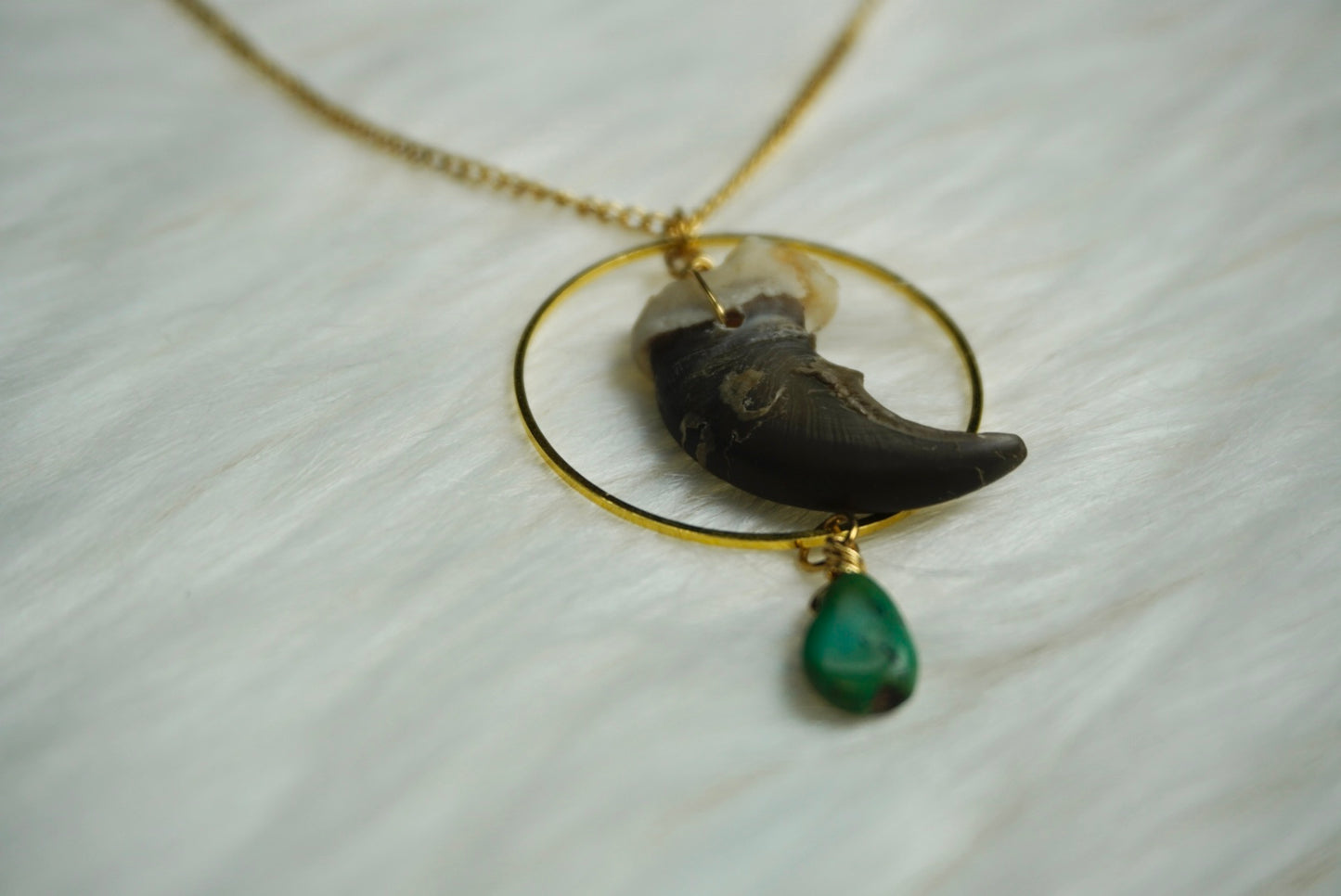 Black Bear Protector